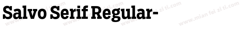 Salvo Serif Regular字体转换